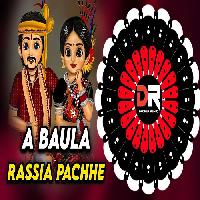 A Baulo Rassia Poche Padigalena-Old Sambalpuri Dj Mix-Dj Subham